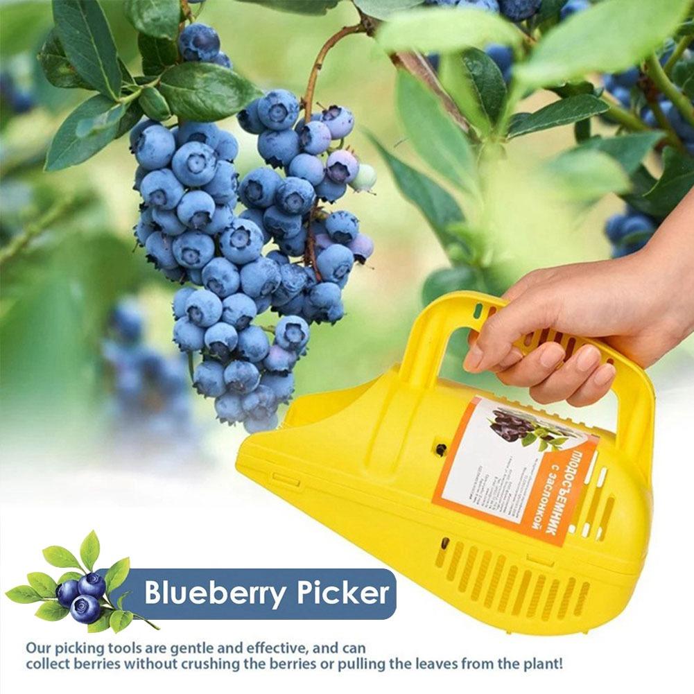 Gardening Tools Must Haves - 쉽게 잡을 수 있는 빗살형 블루베리