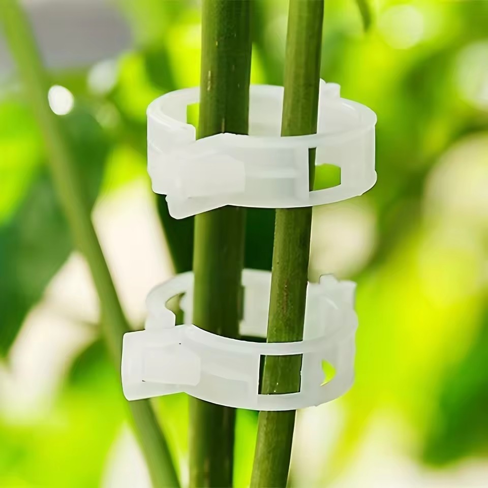 20개 식물 지지 클립, 스냅온 방식 재사용 가능한 정 - Gardening Tools Vegetables 리뷰 및 가격