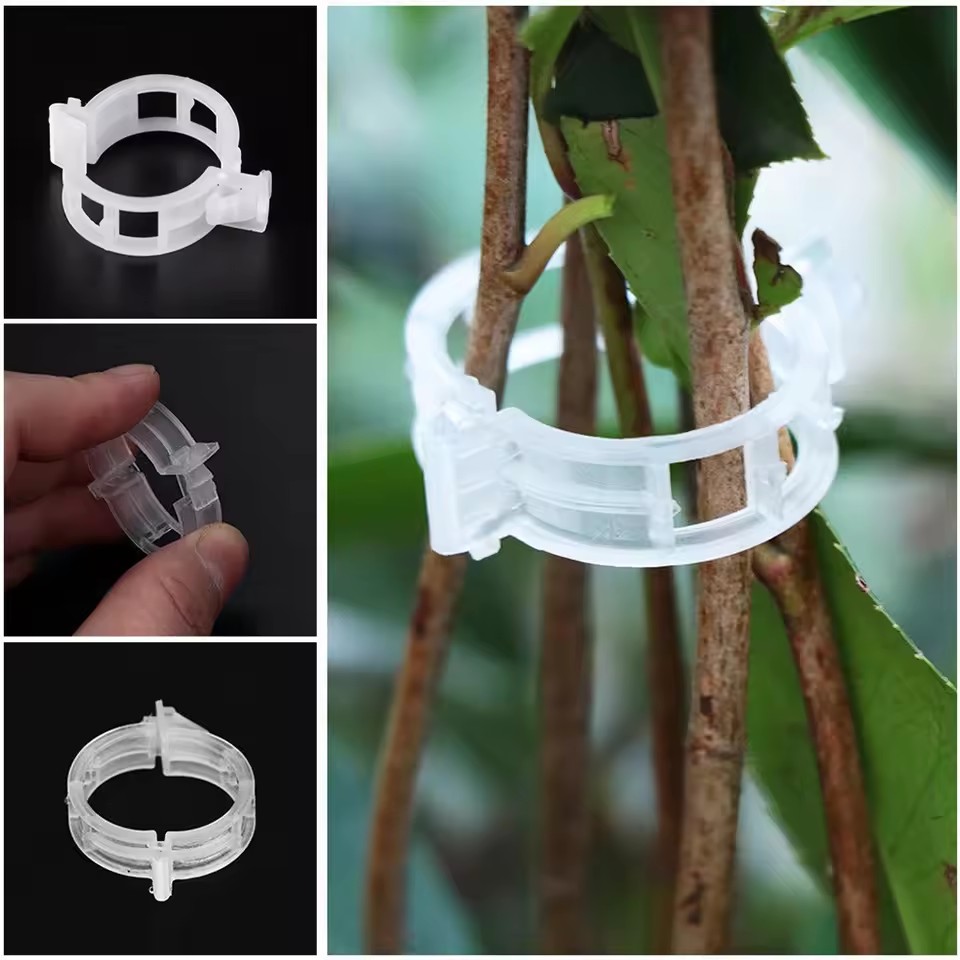 20개 식물 지지 클립, 스냅온 방식 재사용 가능한 정 - Gardening Tools Vegetables 리뷰 및 가격