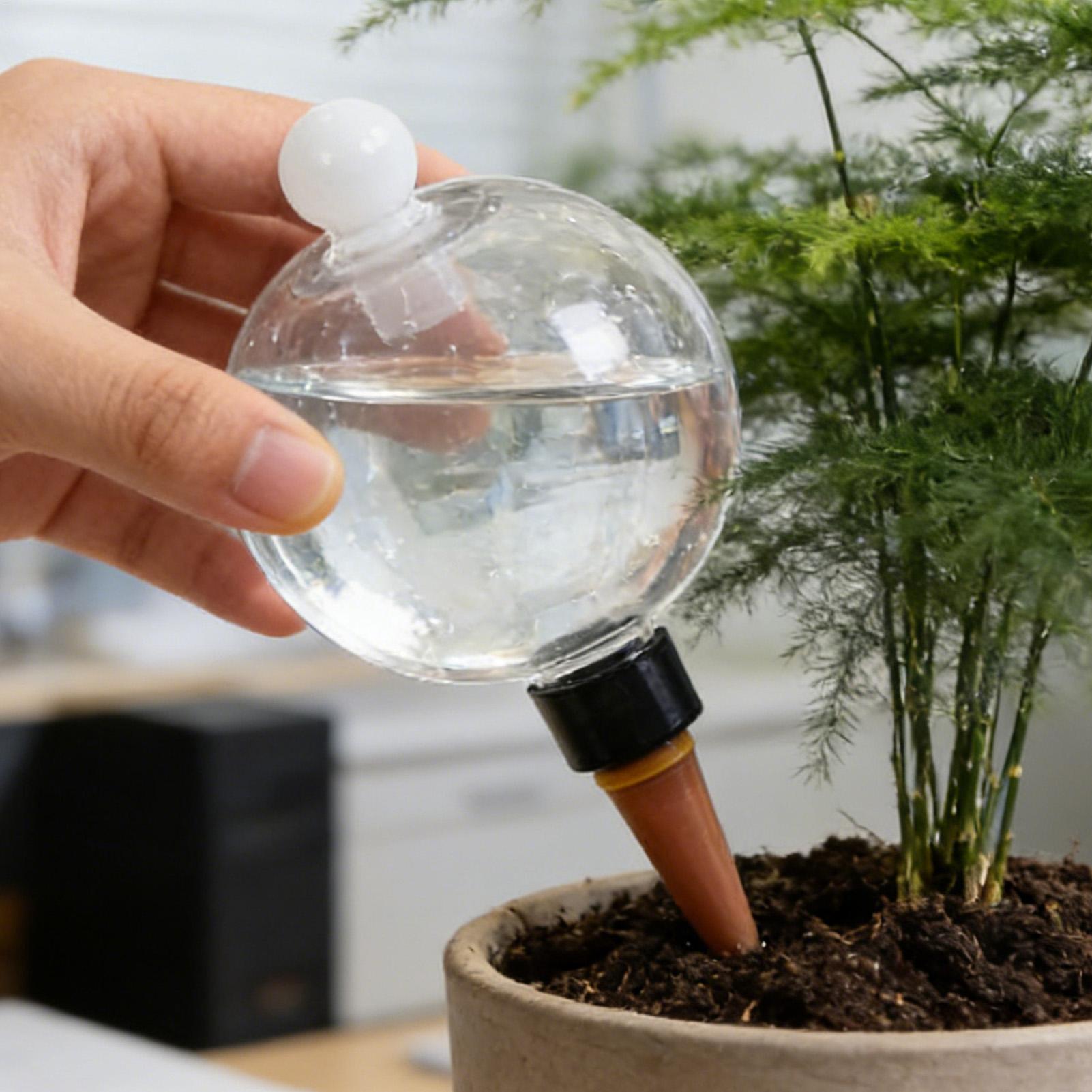 식물 급수용 전구 4개 500ml 투명 자동 급수 글로 - Automatic Plant Waterer 리뷰 및 가격