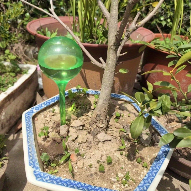 6개 실내 식물 자동 급수 볼 자동화 식물 꽃 물 공병 - Automatic Plant Waterer 리뷰 및 가격