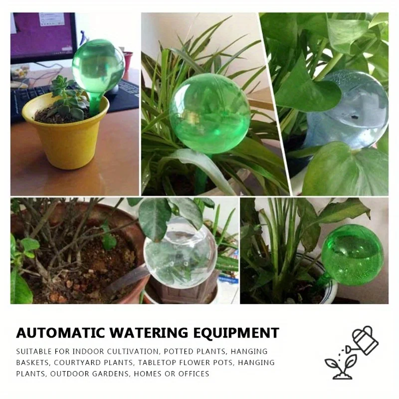 6개 실내 식물 자동 급수 볼 자동화 식물 꽃 물 공병 - Automatic Plant Waterer 리뷰 및 가격