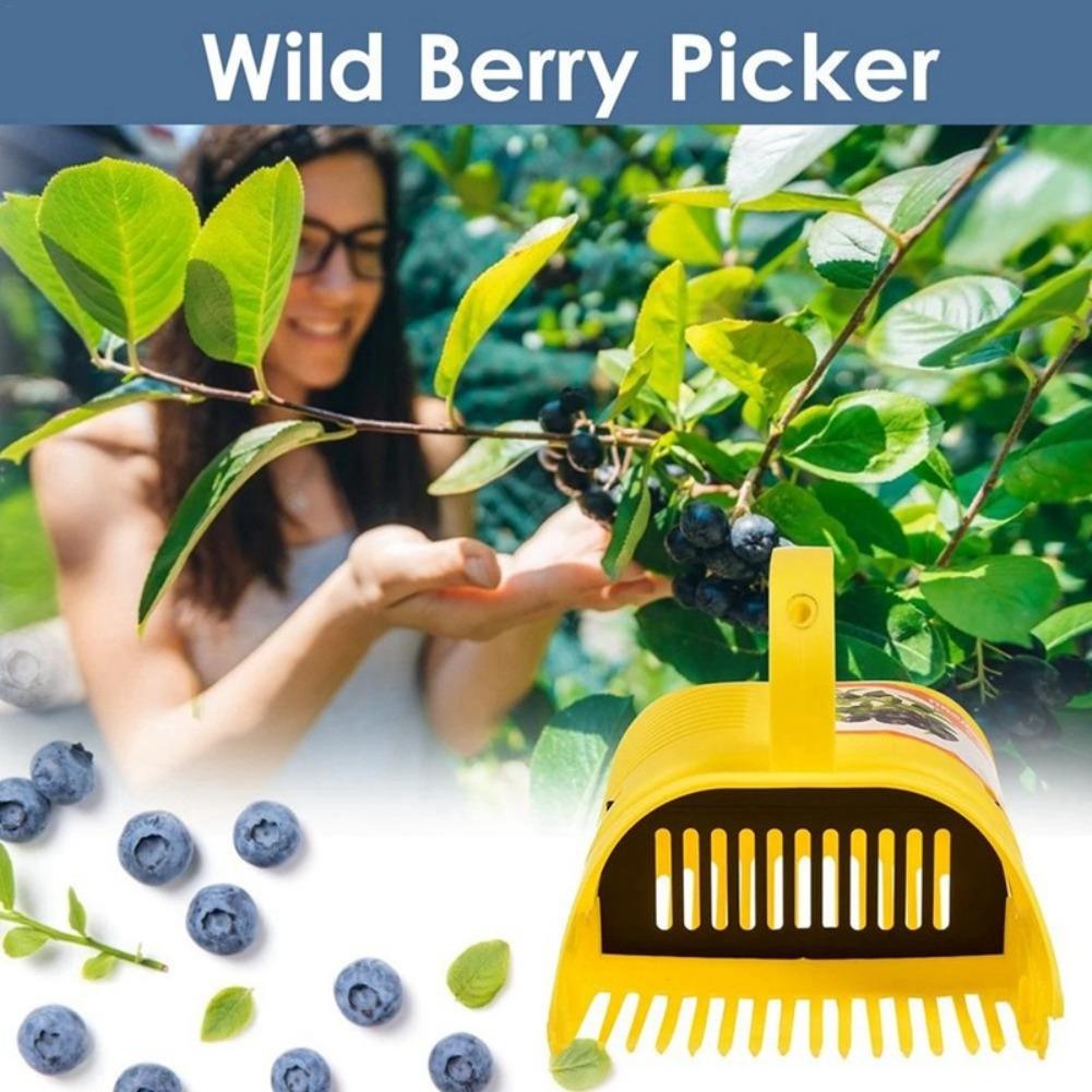 쉽게 잡을 수 있는 빗살형 블루베리 수확기, 휴대용 경 - Gardening Tools Must Haves 리뷰 및 가격