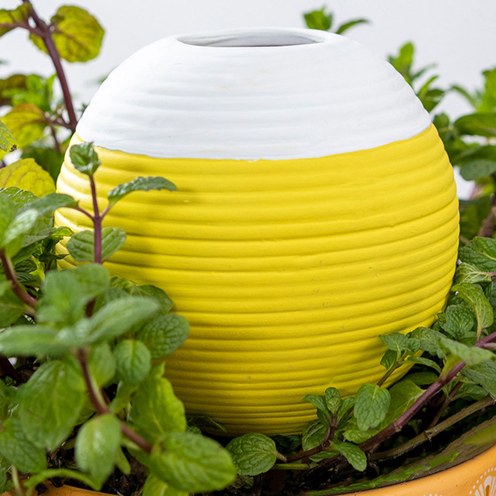 세라믹 자동 식물 급수 도구 정원 필수품 자동 급수 관 - Gardening Tools Must Haves 리뷰 및 가격