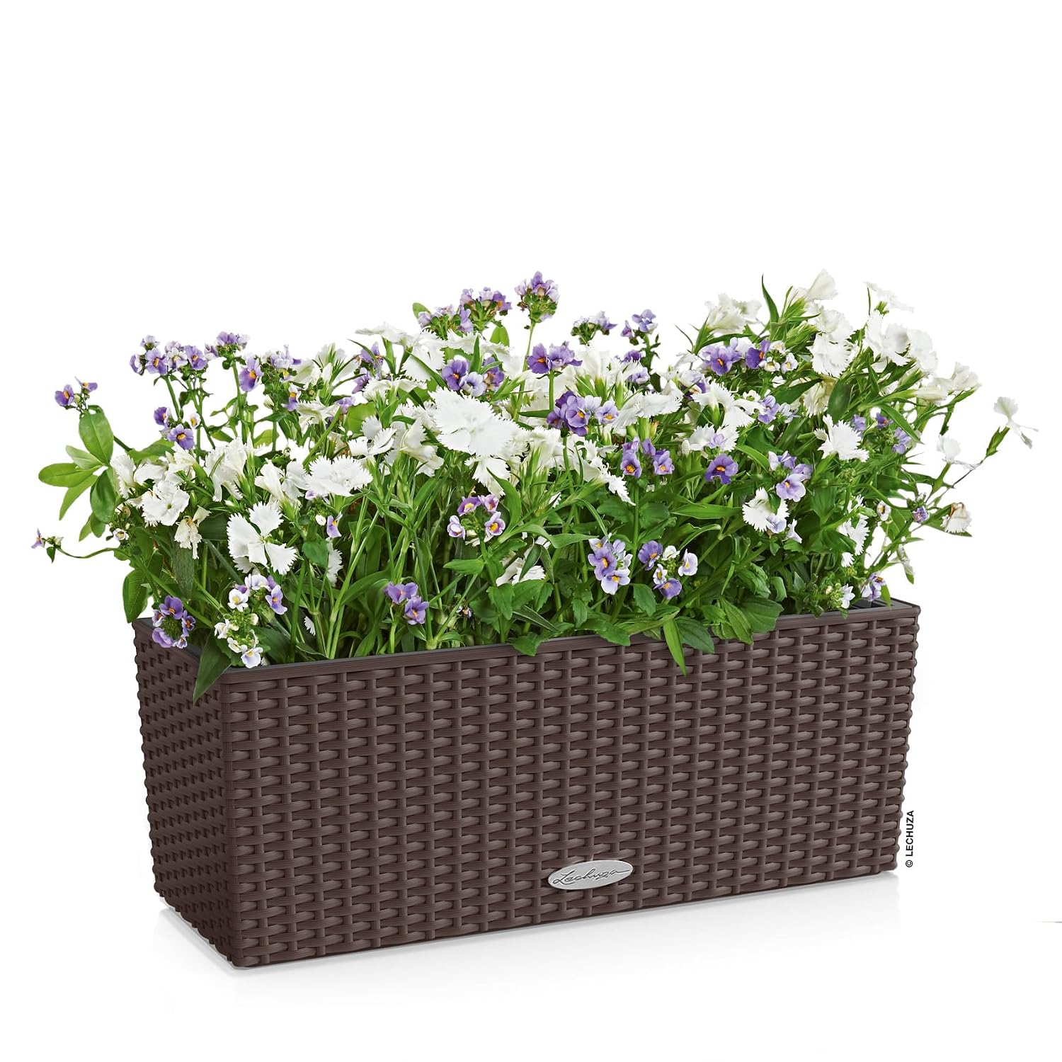 발코네라 코티지 50 모카, 자동 급수 기능이 있는 창 - Self-Watering Planter 리뷰 및 가격