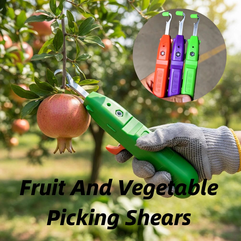 과일 및 채소 수확용 가위, 정원용 전정 가위, 곡선형 - Gardening Tools Vegetables 리뷰 및 가격