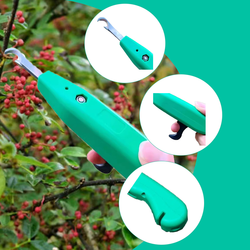 전문가용 후추 수확기 휴대용 수확 가위 휴대용 미니 정 - Gardening Tools Vegetables 리뷰 및 가격