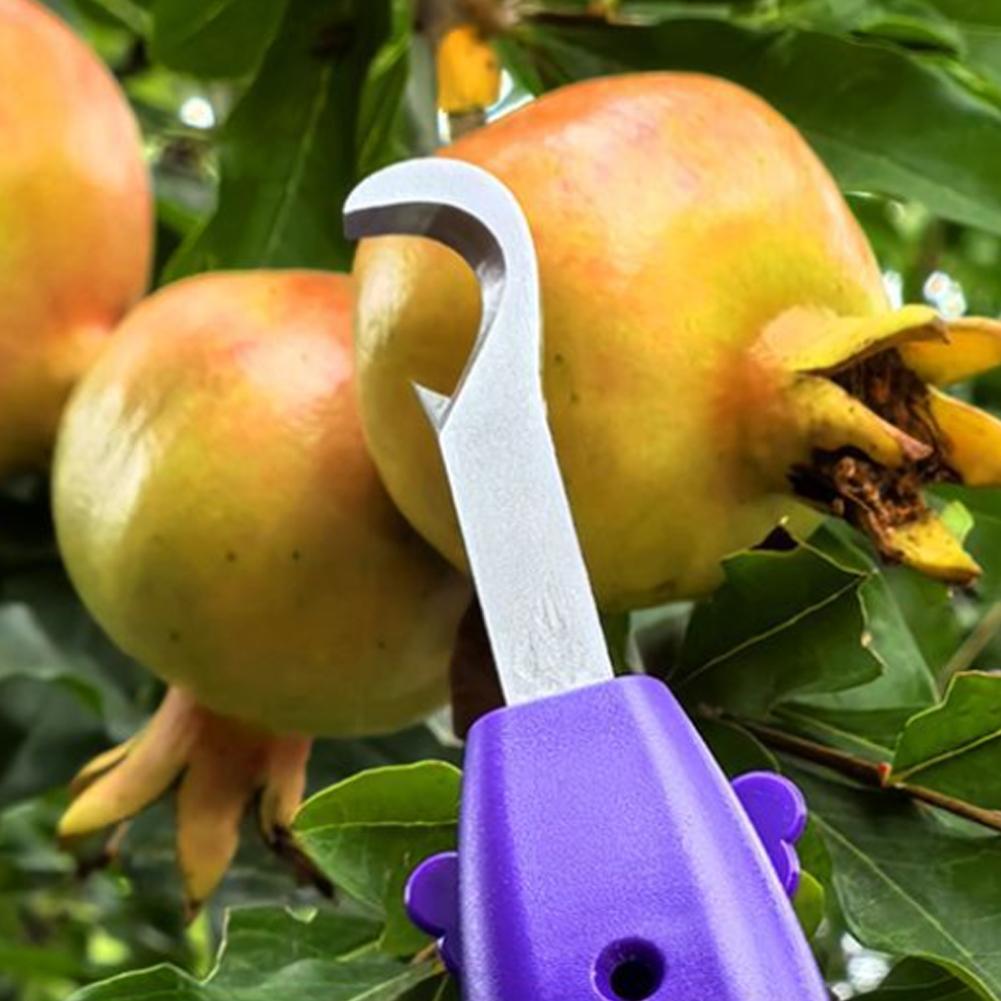 휴대용 과일 채소 빠른 수확 다기능 정원 가꾸기 가지치 - Gardening Tools Vegetables 리뷰 및 가격