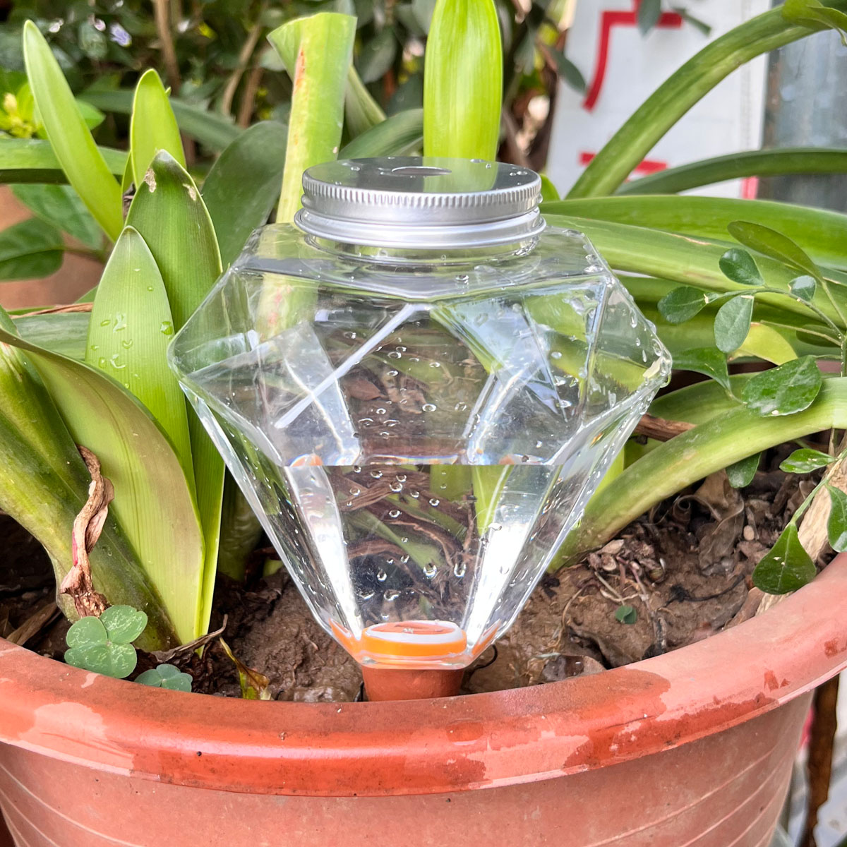 귀여운 플라스틱 자동 급수기 1개, 실내외 식물용 자동 - Automatic Plant Waterer 리뷰 및 가격