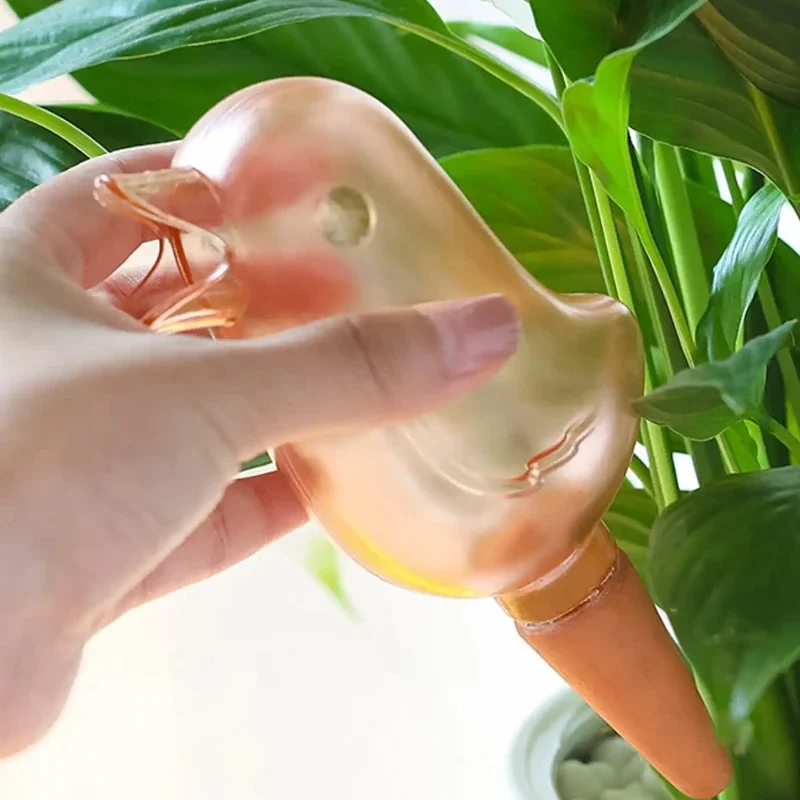 고품질 자동 꽃 waterer 식물 waterer 자체 - Automatic Plant Waterer 리뷰 및 가격