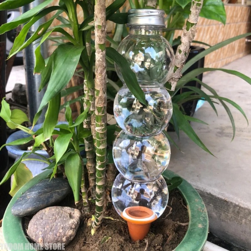 1개입 창의적인 자동 식물 급수기, 자동 급수 장치,  - Automatic Plant Waterer 리뷰 및 가격