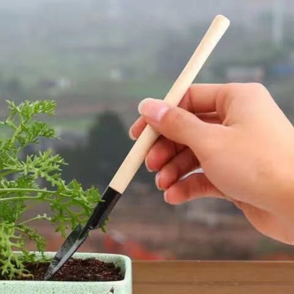 다기능 미니 정원 심기 도구 세트 나무 손잡이 흙 파기 - Spade Digging Fork 리뷰 및 가격