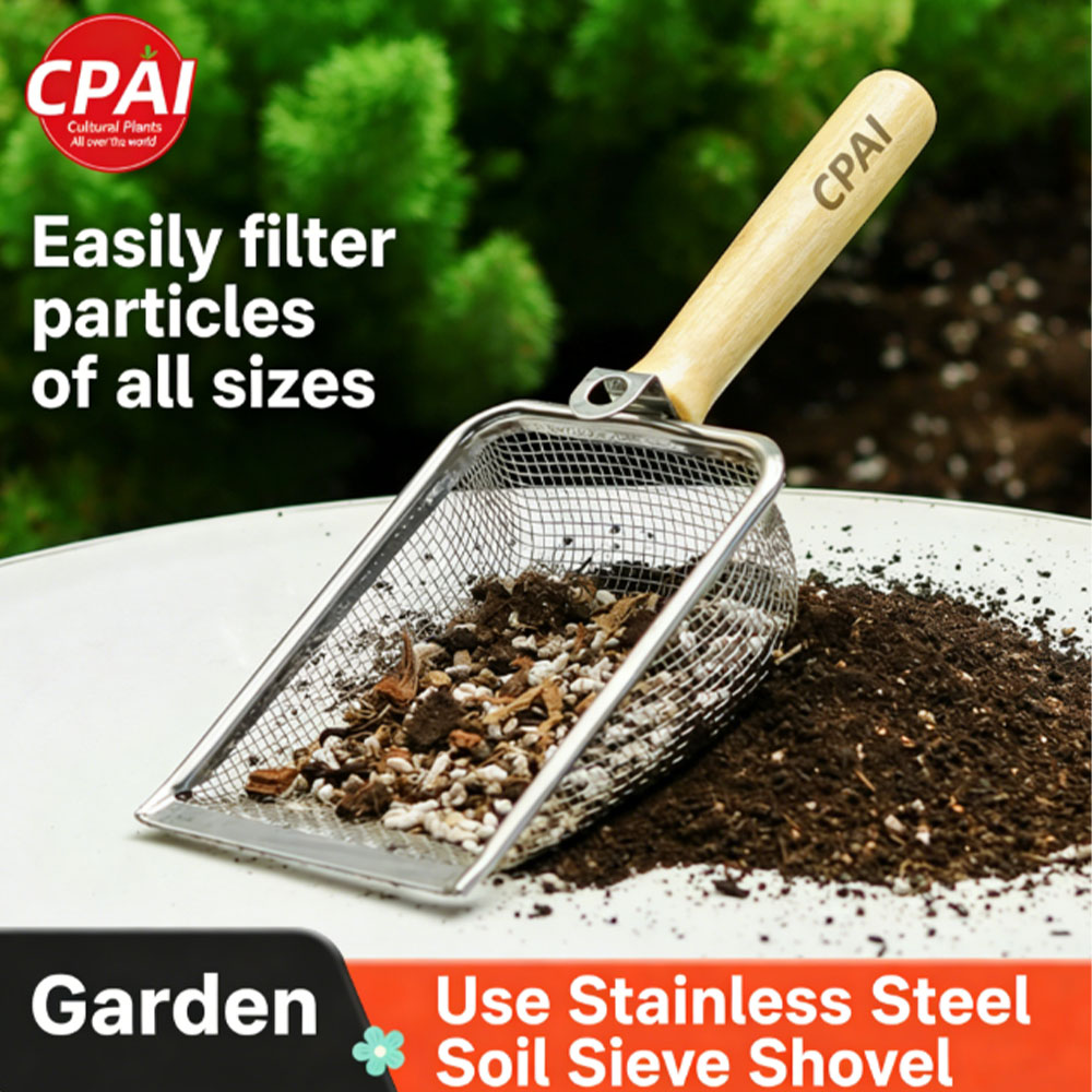 필수품 흙 체, 스테인리스 스틸 정원용 삽, 모래 및  - Gardening Tools Must Haves 리뷰 및 가격